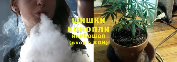 амф Аркадак