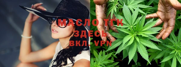 мяу мяу мука Куртамыш